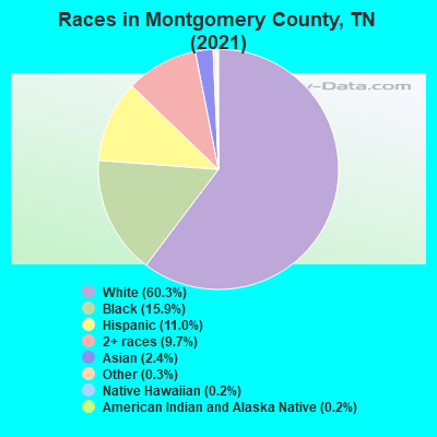 Races in Montgomery County, TN (2021)