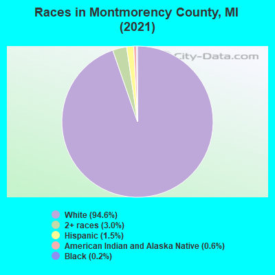 Races in Montmorency County, MI (2019)