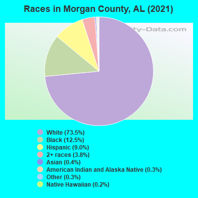 Races in Morgan County, AL (2022)