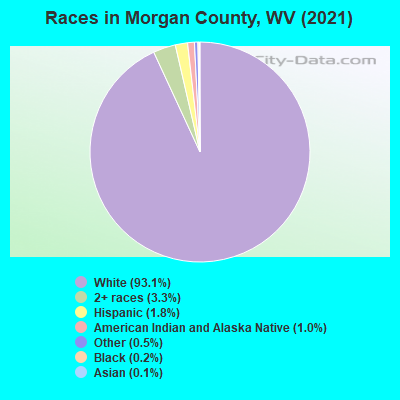 Races in Morgan County, WV (2022)