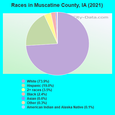 Races in Muscatine County, IA (2019)