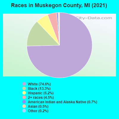 Races in Muskegon County, MI (2019)