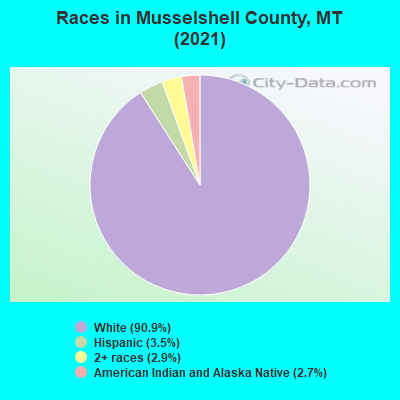 Races in Musselshell County, MT (2019)