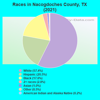 Races in Nacogdoches County, TX (2019)