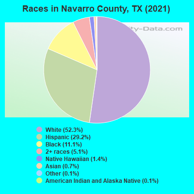Races in Navarro County, TX (2022)