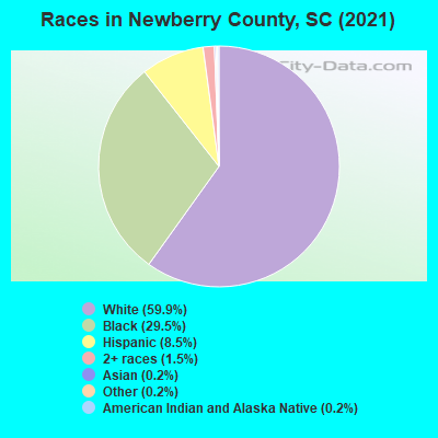 Races in Newberry County, SC (2021)