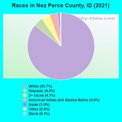 Races in Nez Perce County, ID (2019)