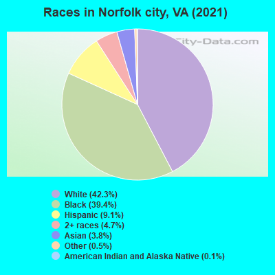 Races in Norfolk city, VA (2022)