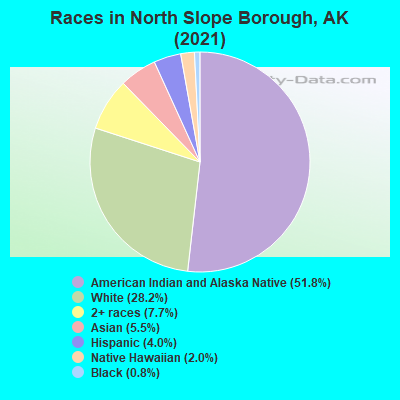 Races in North Slope Borough, AK (2022)