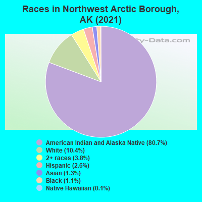 Races in Northwest Arctic Borough, AK (2022)