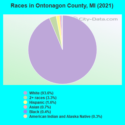 Races in Ontonagon County, MI (2019)