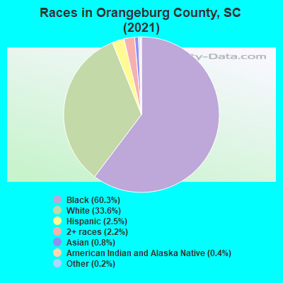 Races in Orangeburg County, SC (2021)