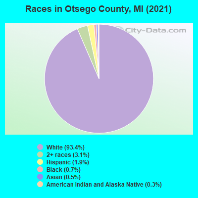 Races in Otsego County, MI (2022)