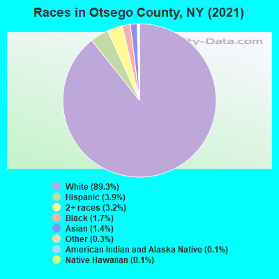 Races in Otsego County, NY (2021)