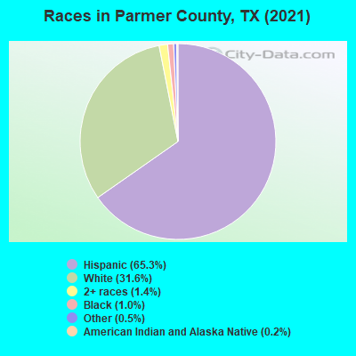 Races in Parmer County, TX (2019)