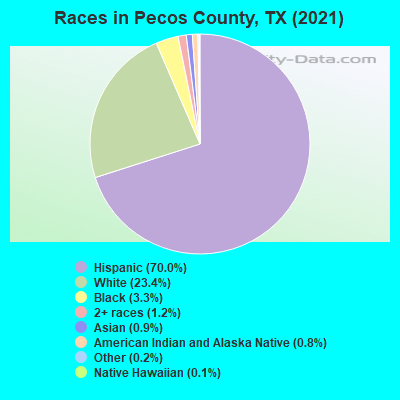 Races in Pecos County, TX (2019)