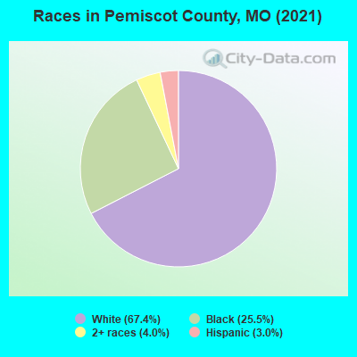 Races in Pemiscot County, MO (2021)
