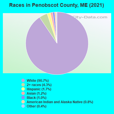Races in Penobscot County, ME (2021)