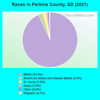 Races in Perkins County, SD (2019)