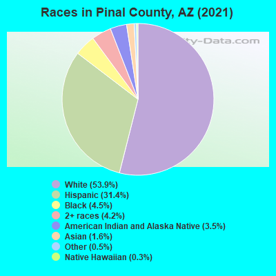 Races in Pinal County, AZ (2019)