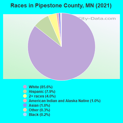 Races in Pipestone County, MN (2022)