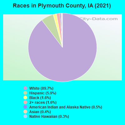 Races in Plymouth County, IA (2021)