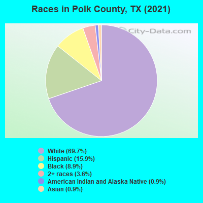 Races in Polk County, TX (2022)