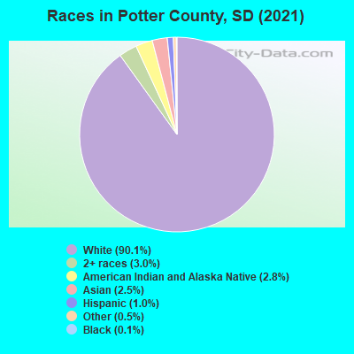 Races in Potter County, SD (2022)