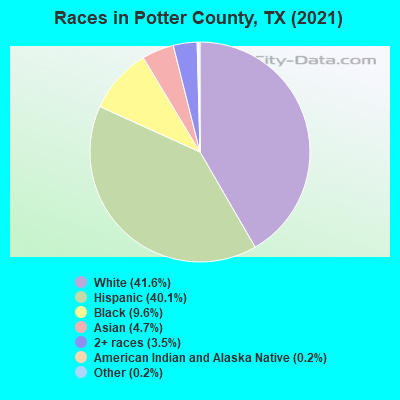 Races in Potter County, TX (2019)