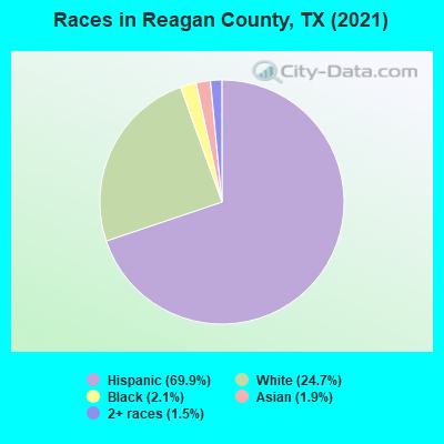 Races in Reagan County, TX (2019)