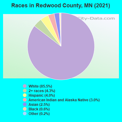 Races in Redwood County, MN (2019)