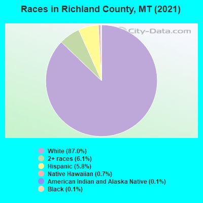 Races in Richland County, MT (2019)
