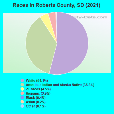 Races in Roberts County, SD (2019)
