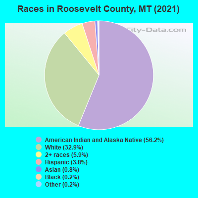 Races in Roosevelt County, MT (2019)