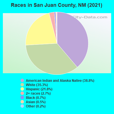 Races in San Juan County, NM (2021)