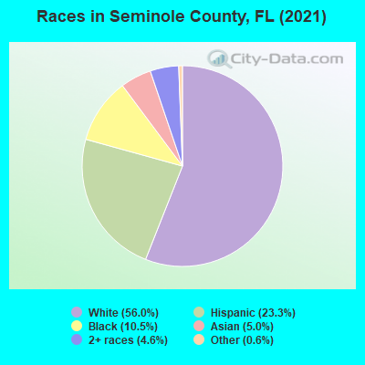 Races in Seminole County, FL (2019)