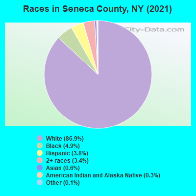 Races in Seneca County, NY (2019)
