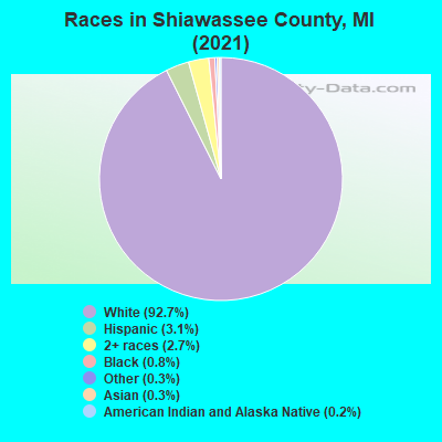 Races in Shiawassee County, MI (2019)