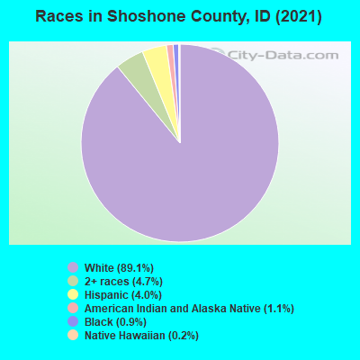 Races in Shoshone County, ID (2022)