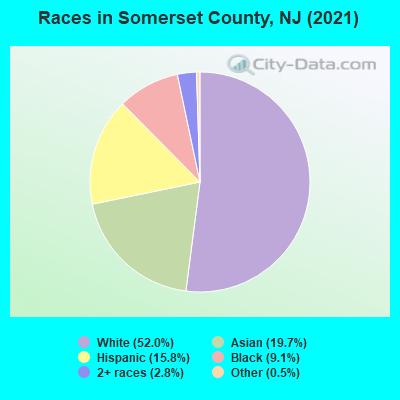 Races in Somerset County, NJ (2021)