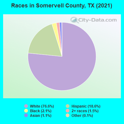 Races in Somervell County, TX (2019)