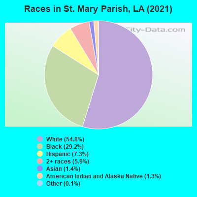 Races in St. Mary Parish, LA (2019)