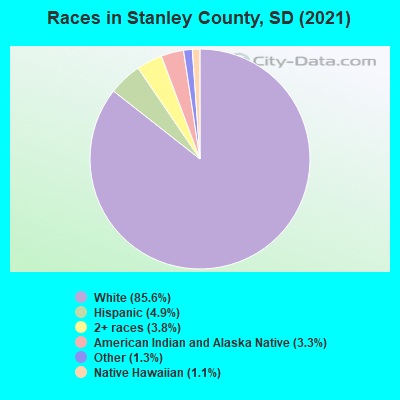 Races in Stanley County, SD (2021)