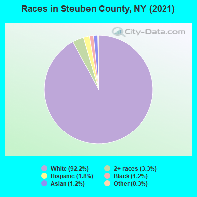 Races in Steuben County, NY (2019)