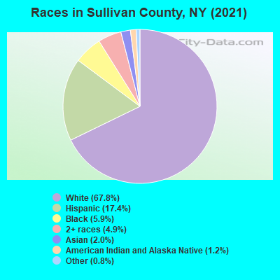 Races in Sullivan County, NY (2021)