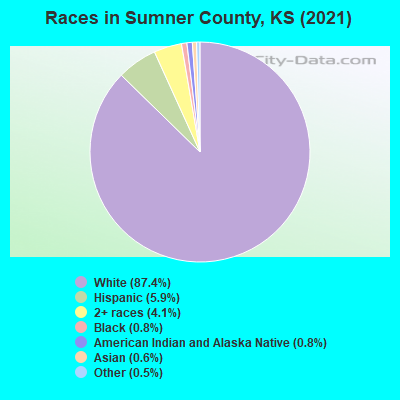 Races in Sumner County, KS (2019)
