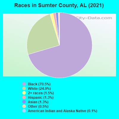 Races in Sumter County, AL (2019)