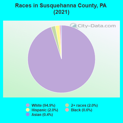 Races in Susquehanna County, PA (2021)