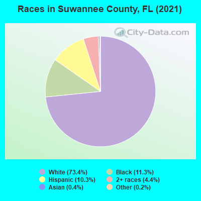 Races in Suwannee County, FL (2021)