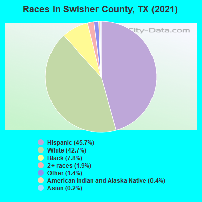 Races in Swisher County, TX (2019)